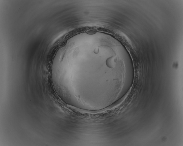 X0000094371064200711241955