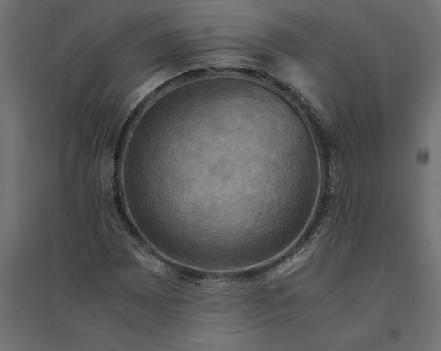 X0000094371065200711241955