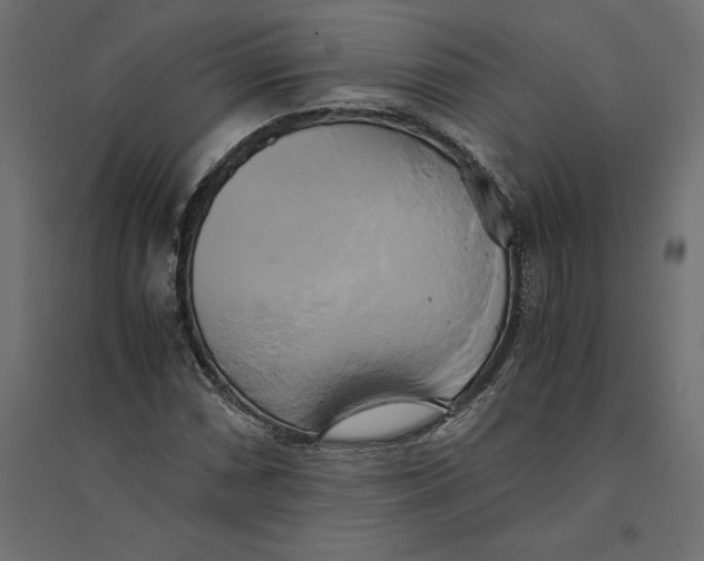 X0000094371066200711241955