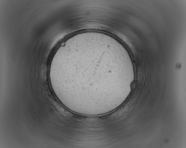 X0000094371067200711241955