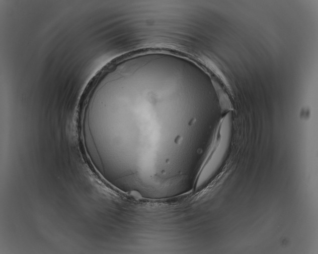 X0000094371068200711241955