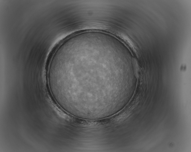 X0000094371072200711241955