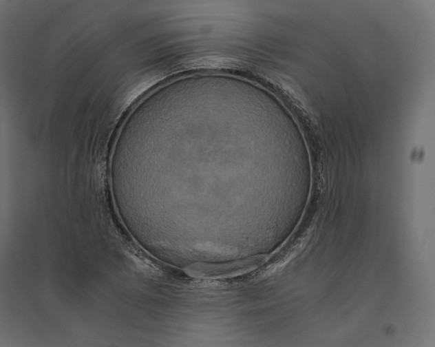 X0000094371073200711241955