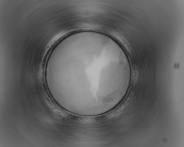 X0000094371074200711241954