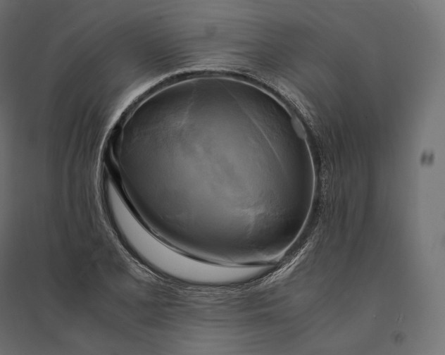 X0000094371077200711241954