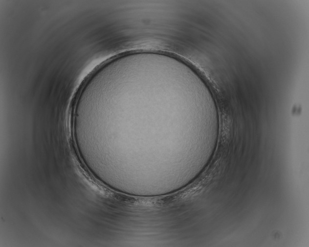 X0000094371078200711241954