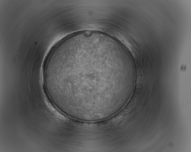 X0000094371080200711241954