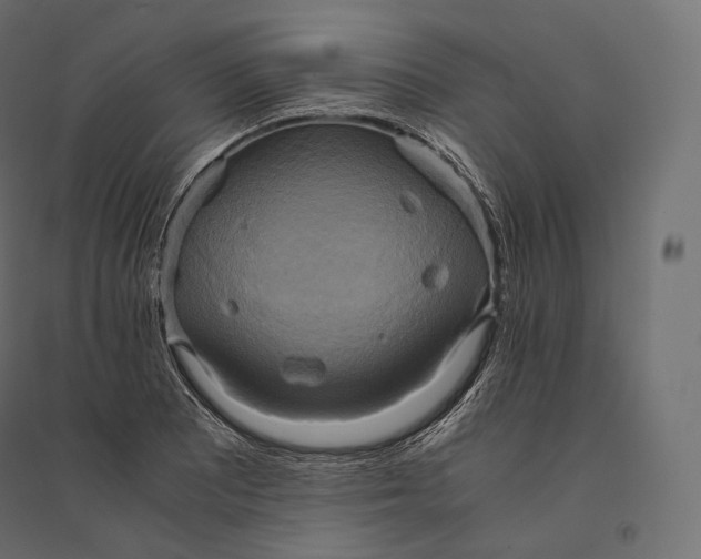 X0000094371081200711241954