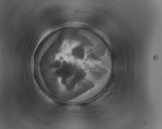 X0000094371083200711241954