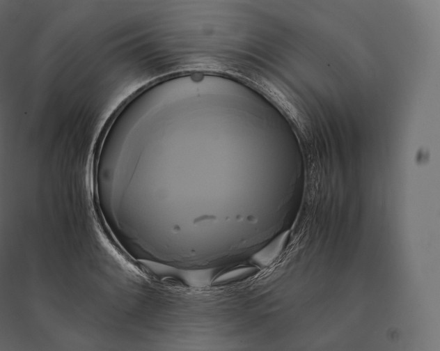 X0000094371084200711241954