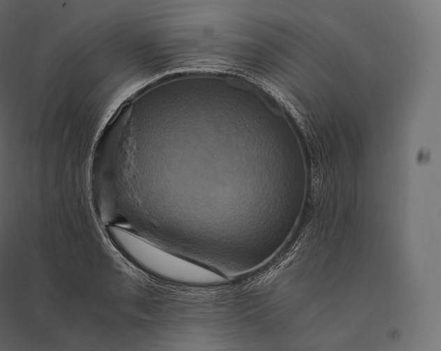 X0000094371085200711241954