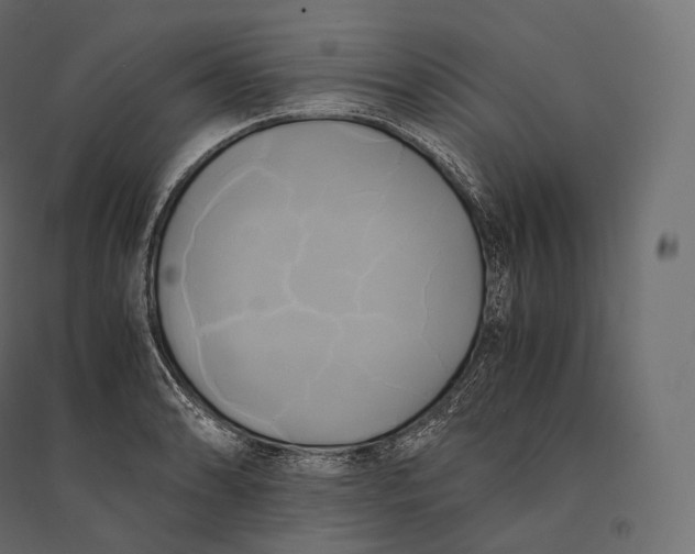 X0000094371086200711241954