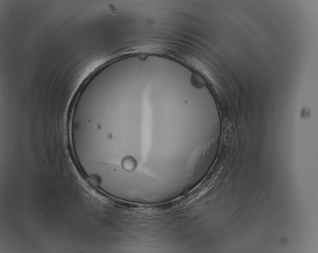 X0000094371087200711241954