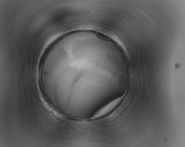 X0000094371088200711241954