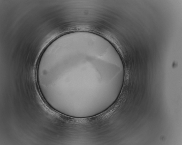 X0000094371090200711241954