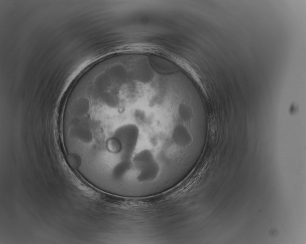 X0000094371091200711241954