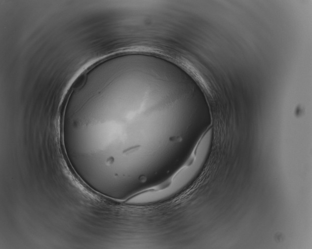 X0000094371092200711241954