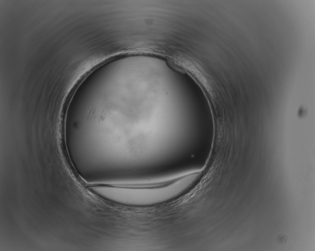 X0000094371093200711241954