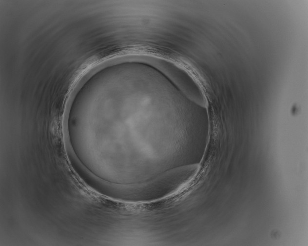 X0000094371097200711241954