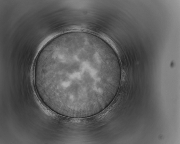 X0000094371098200711241954