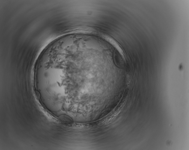 X0000094371099200711241954