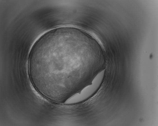 X0000094371100200711241954