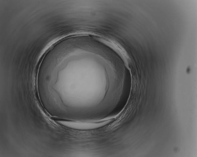 X0000094371101200711241954