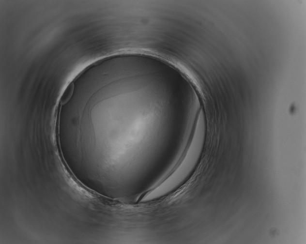 X0000094371102200711241954