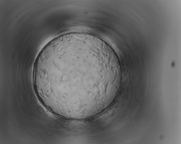 X0000094371103200711241954