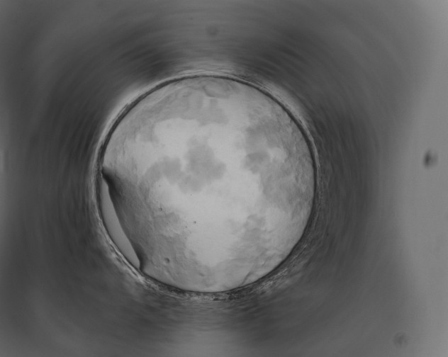 X0000094371104200711241954