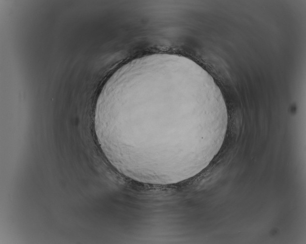 X0000094371105200711241953