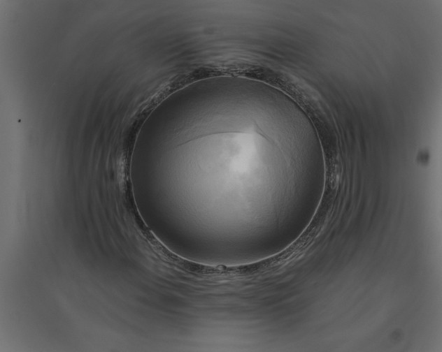 X0000094371108200711241953