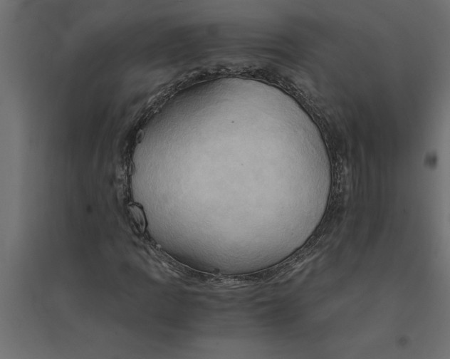 X0000094371109200711241953