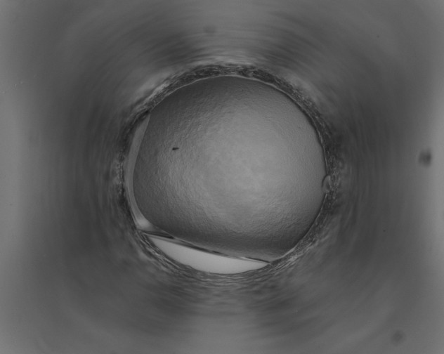 X0000094371110200711241953