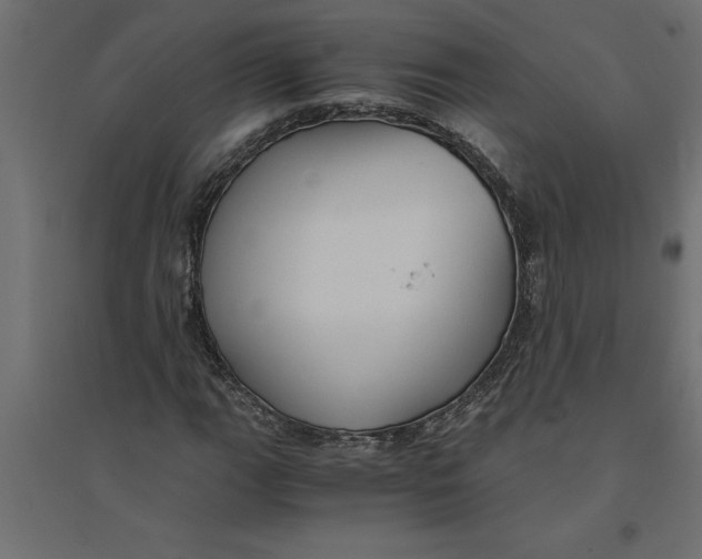 X0000094371111200711241953