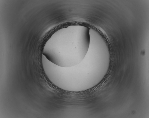 X0000094371112200711241954