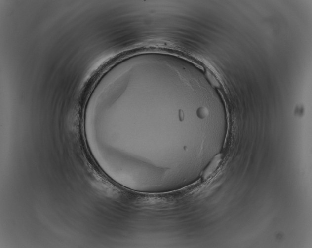 X0000094371115200711241954