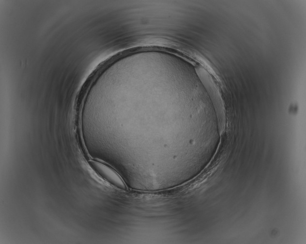 X0000094371116200711241954