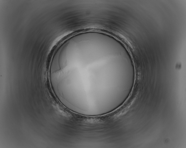 X0000094371117200711241954