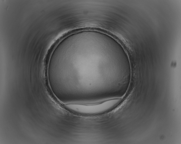 X0000094371118200711241954