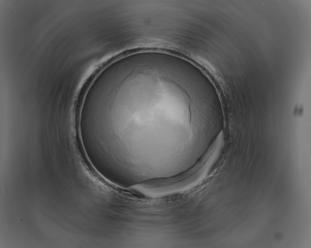 X0000094371120200711241954