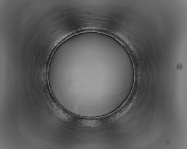 X0000094371121200711241954