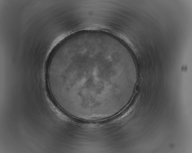 X0000094371122200711241954