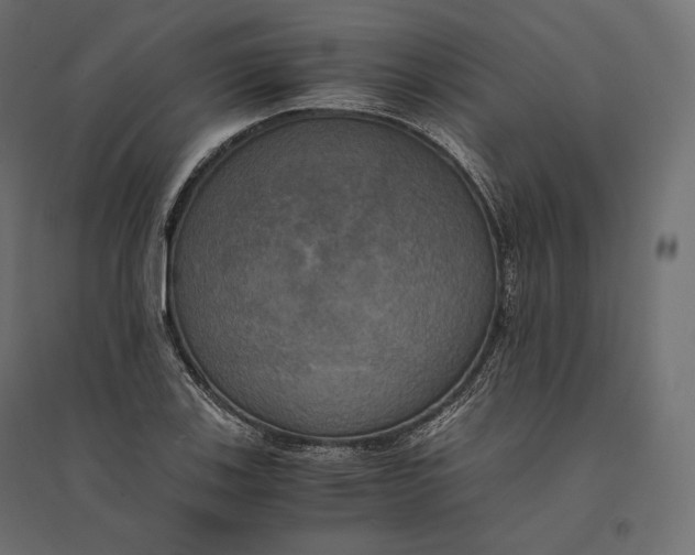 X0000094371123200711241954