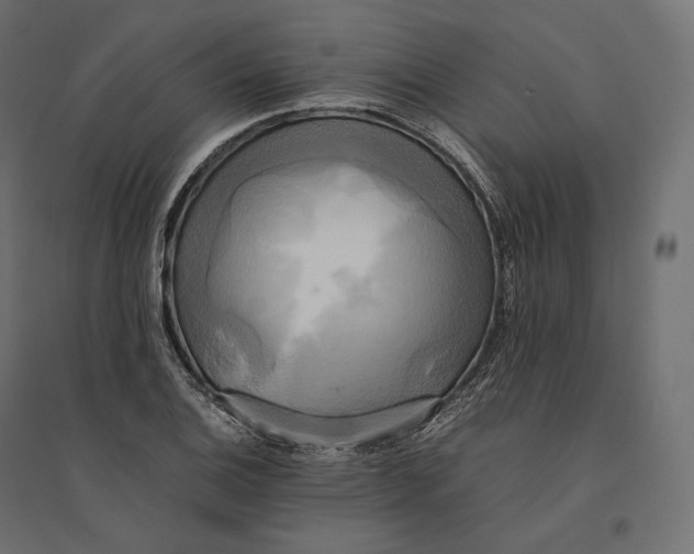 X0000094371124200711241954