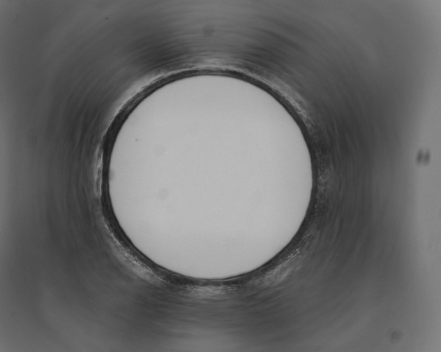 X0000094371126200711241954