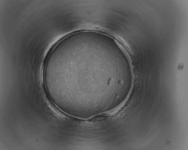 X0000094371128200711241954