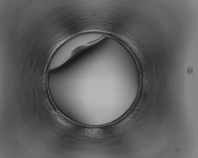 X0000094371129200711241954