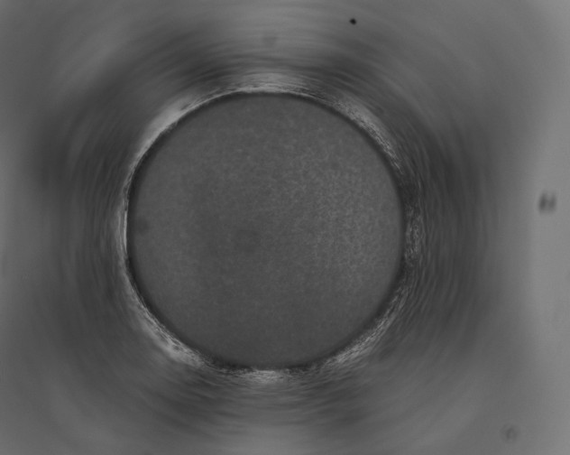 X0000094371130200711241954