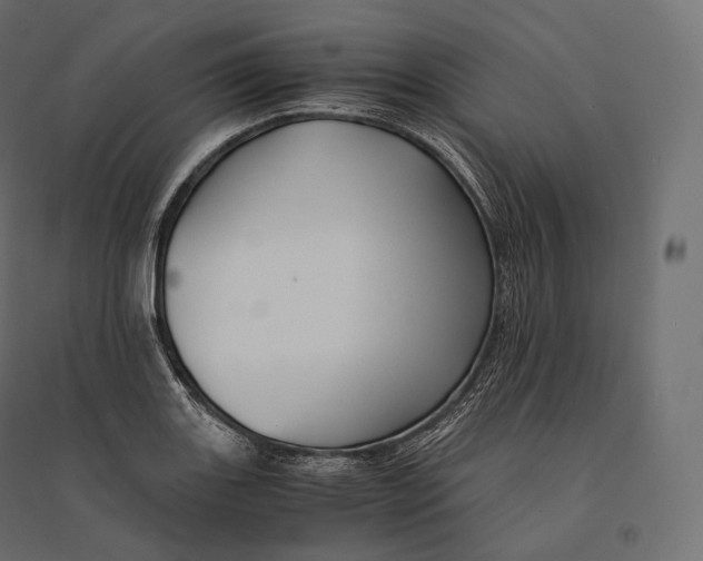 X0000094371131200711241954